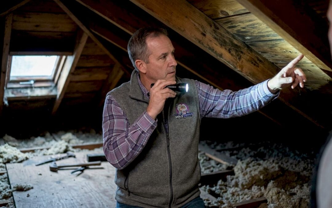 Attic Condensation Mold: Causes and Solutions Guide