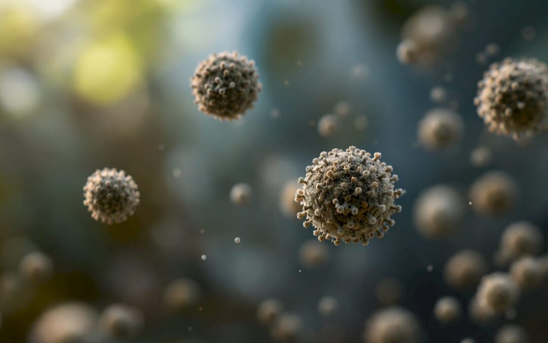 What Is a Mold Spore? Facts, Health Effects, and More