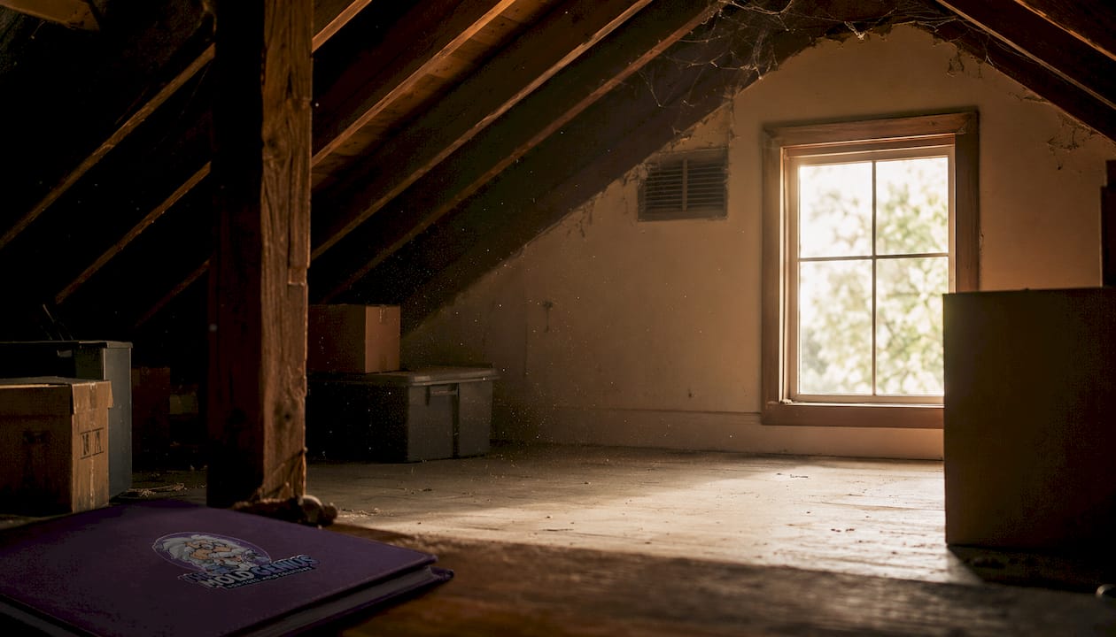 Dust and spores floating in attic air