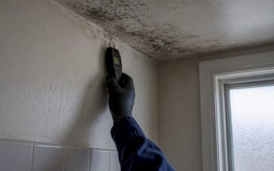 Mold Found During a Home Inspection? Do This Next