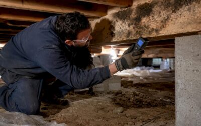 Crawl Space Mold Remediation Cost: What You’ll Actually Pay