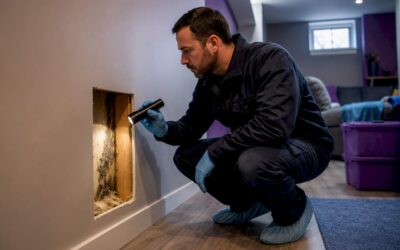 Chicagoland Basement Mold Removal: From $1,500, Low Demolition Fix