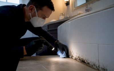 $1,200–$3,750: Bathroom Mold Remediation Cost 2026, EPA 10ft & Dry Fog