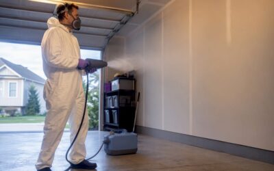 Single Day Garage Mold Remediation Using Non Destructive Dry Fog